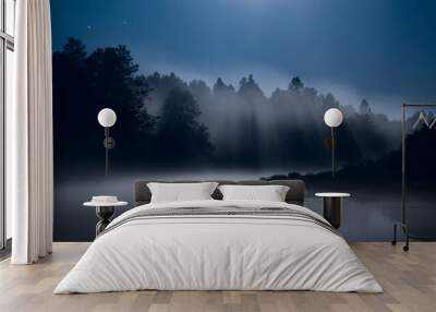 Mist over the river, moonlit night, fog Wall mural