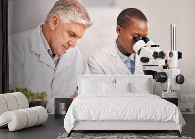 Science, microscope and sample with a medical team in the laboratory for biochemistry or sustainability. Research, agriculture or growth with a man and woman scientist in a lab for innovation Wall mural