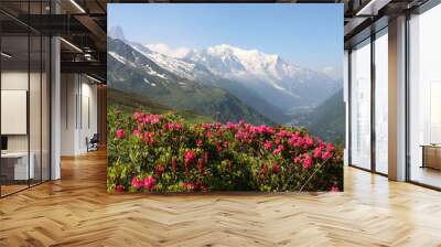 mont blanc et rhododendrons Wall mural