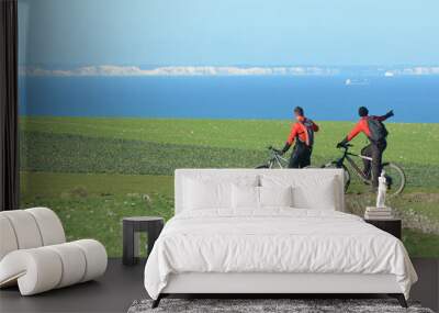 2 vtt Wall mural