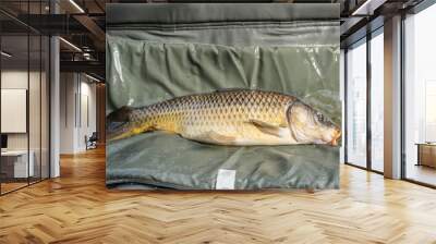 carp fishing by the pond Wall mural