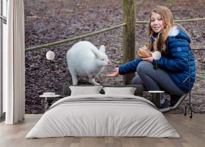 cute little girl stroking a young albino wallaby in a zoo Wall mural