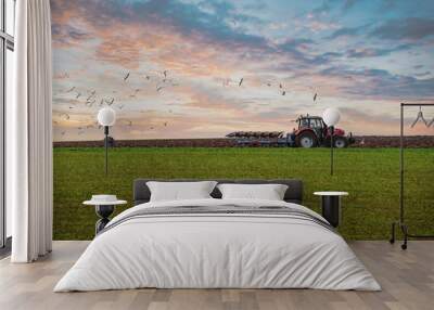 farmer plowing his fields at sunset Wall mural