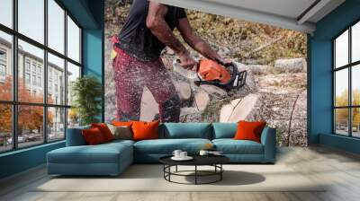 professional lumberjack in action Wall mural