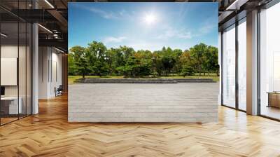 .Empty tiles floor at the nice and peaceful comfortable great nature park panorama.. Wall mural