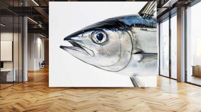 A fish with a blue and silver body and a blue eye. The fish is looking at the camera Wall mural