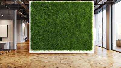 Rectangle square patch or island of green grass isolated on white background flat lay top view from above, spring or eco concept template element, Generative AI  Wall mural