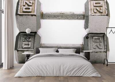 Pair of dumbbell Wall mural