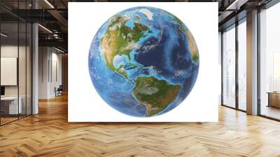 earth Wall mural