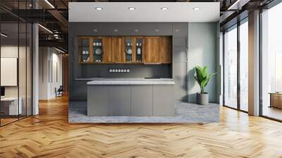 Luxury gray kitchen interior with island Wall mural