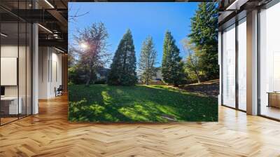 Rays of sunshine travelling through forest and nature in Kirkland Washington Wall mural