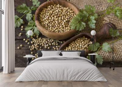 Coriander seed and leaves Wall mural