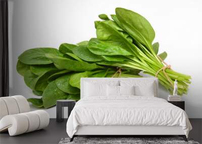 Bunch of spinach leaves on isolated white background Wall mural