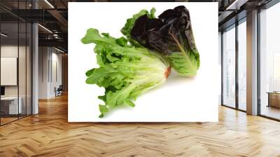 Fresh lettuce Wall mural