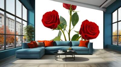 Three  beautiful red rose flowers  isolated on white background Wall mural