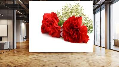 Two  carnation flowers isolated on white Wall mural