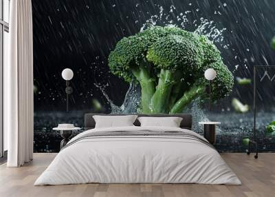 water splash on broccoli on black background. Wall mural