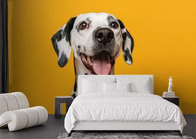 A dalmatian dog with a tongue out is smiling at the camera Wall mural