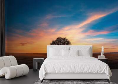 A tree stands in a field with a beautiful sunset in the background Wall mural