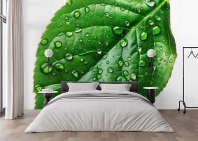 Green Leaf with Water Droplets on White Background. Generative ai Wall mural