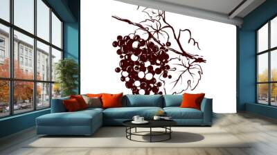 Design elements -- vine. Graphic vector illustration, grapes drawing sketch, freehand drawing. Wall mural