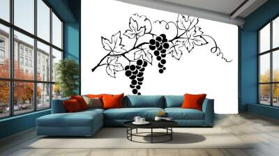 vector illustration -- grapevine Wall mural