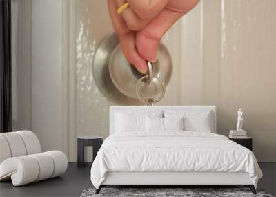 Opening door with Key insert and hold in stainless steel round ball door knob Wall mural