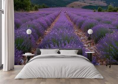 A field of lavender flowers with a mountain in the background. The sun is setting, casting a warm glow over the landscape Wall mural