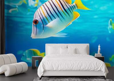 A school of fish swims in the ocean, with a large striped fish in the middle. The fish are swimming in a blue ocean with coral and rocks in the background Wall mural