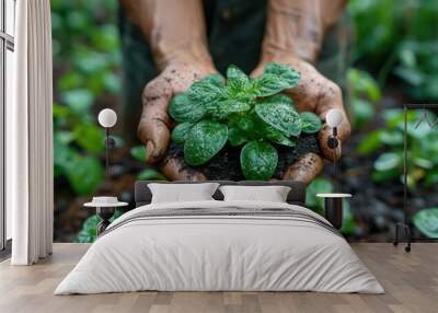 An adult Scandinavian person holds a vibrant green seedling, covered in soil, while participating in urban gardening, surrounded by lush plants Wall mural