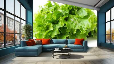 A whole lettuce isolated on white Wall mural