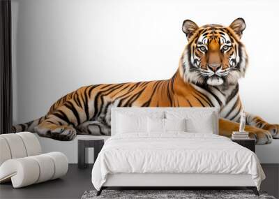 Full body tiger front view portrait lying down isolated on white Wall mural