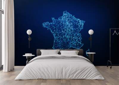 Abstract of france map network, internet and global connection concept, Wire Frame 3D mesh polygonal network line, design sphere, dot and structure. Vector illustration eps 10. Wall mural