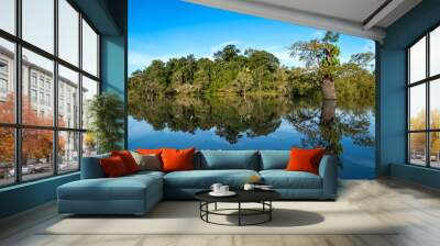 Beautiful landscape of Amazon rainforest trees reflected in river water on a sunny summer day. Concept of conservation, environment, ecology, nature, climate, biodiversity. Amazonas, Brazil. Wall mural