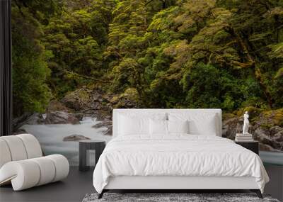 Mountainous Monkey creek flowing through impressive landscape next to Milford Sound highway, New Zealand Wall mural