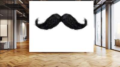 curly moustache as element isolated on white background Wall mural