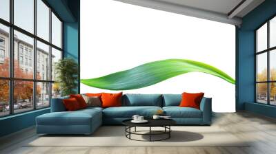 Green tropical leaves as element on transparent background Wall mural