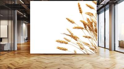 wheat as element in isolated white background Wall mural