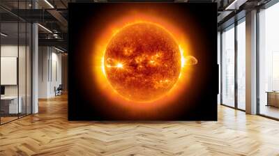 The sun from space on a black background, realistic, ultra detailed illustration of the sun with solar storms and solar corona. Wall mural