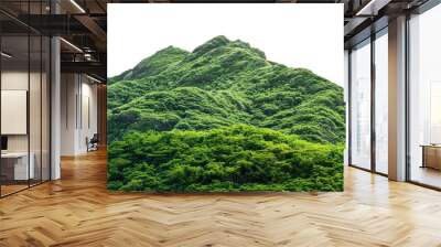 Vegetated Green Moutain Isolated On Transparent Background. Peaks With Vegetation, Forest And Jungle. Realistic Mountain Environment Wall mural