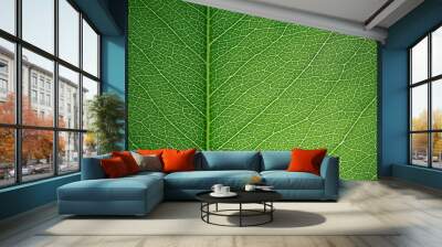 Leaf texture Wall mural