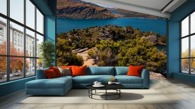 Mou Waho Island in Lake Wanaka Wall mural