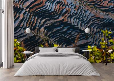 The texture and colors of terrace fields Wall mural