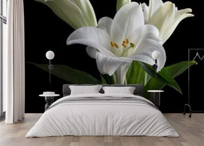 white lily flowers on black background Wall mural