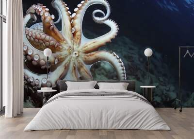 Octopus in natural habitat showcasing intricate tentacles mesmerizing eyes and the dark blue background of the underwater world. Wall mural