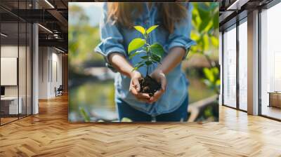 Young woman hand cradles a delicate sapling its small leaves reaching towards the sun. This poignant image embodies the concept of environmental responsibility and the hope for a sustainable future. Wall mural