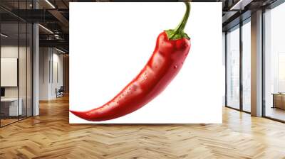 red hot chili pepper isolated on cutout PNG transparent background Wall mural