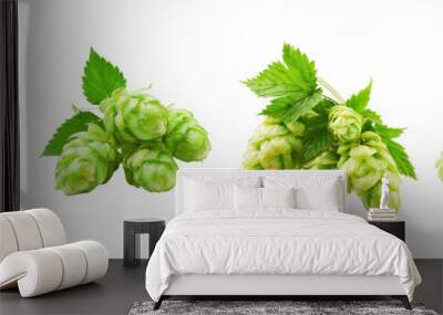 Set of green hop cones isolated on transparent png background Wall mural