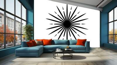 New Year Fireworks Burst | isolated vector illustration on white background Wall mural