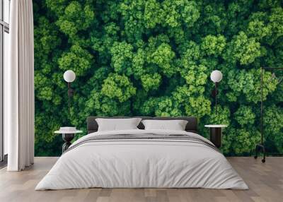 Aerial top view forest tree, Rainforest ecosystem and healthy environment concept and background, Texture of green tree forest view from above , ai Wall mural